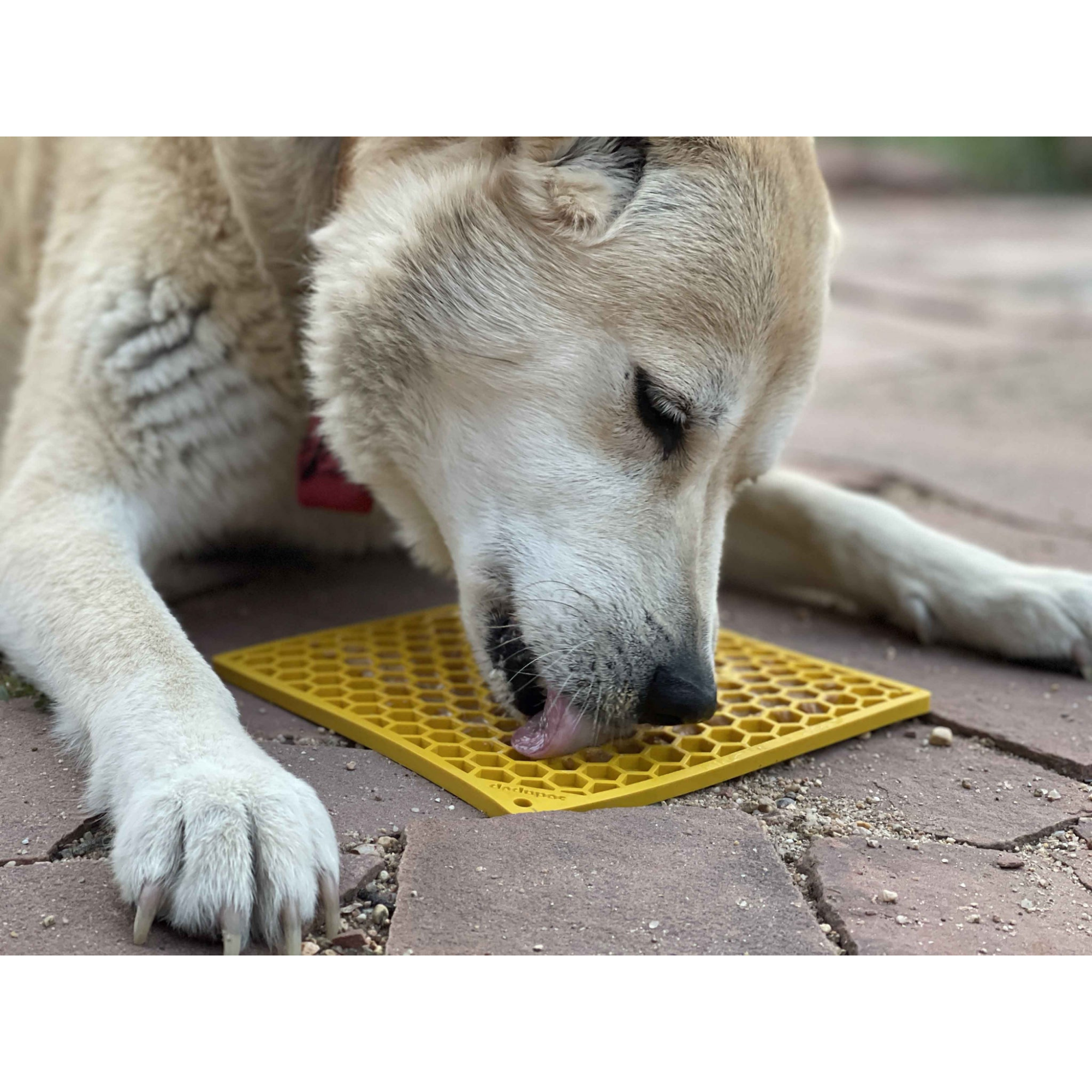 SodaPup Enriching Lick Mat Honeycomb Yellow - Mutts & Co.