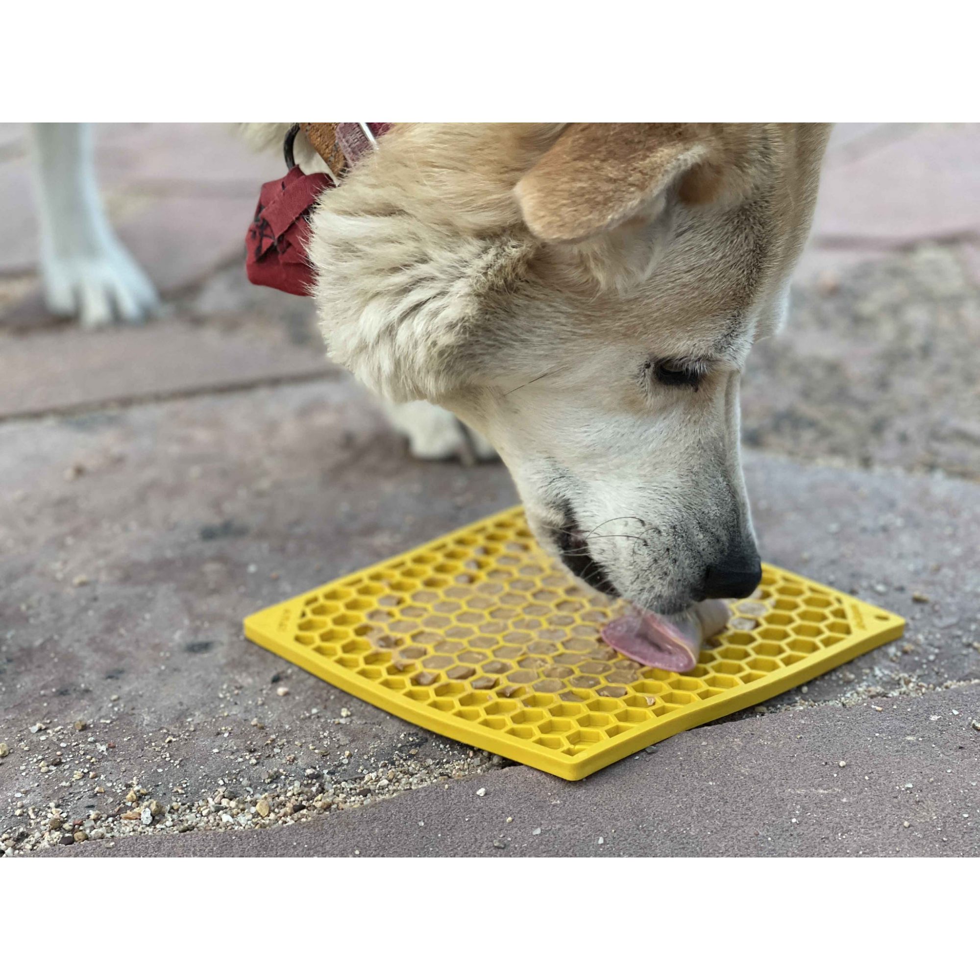 SodaPup Enriching Lick Mat Honeycomb Yellow - Mutts & Co.