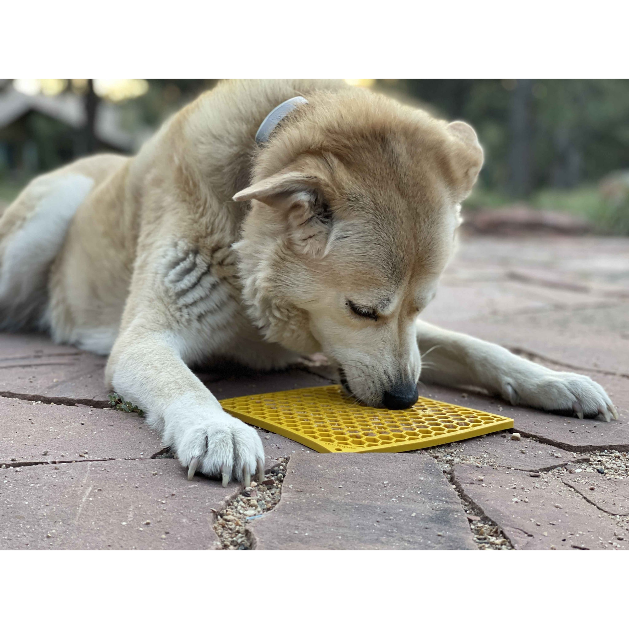 SodaPup Enriching Lick Mat Honeycomb Yellow - Mutts & Co.