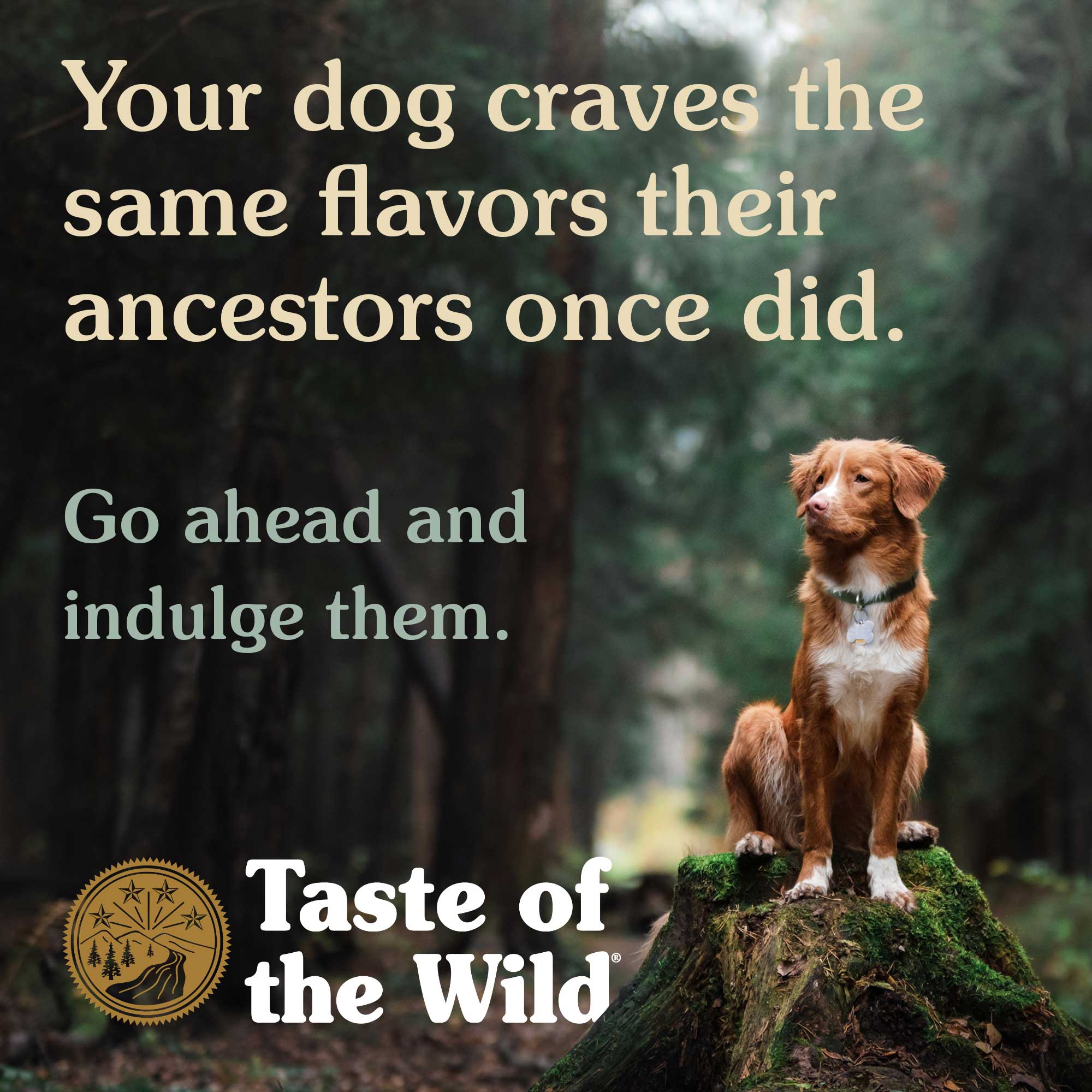 Taste Of The Wild High Prairie Grain-Free Dog Food - Mutts & Co.