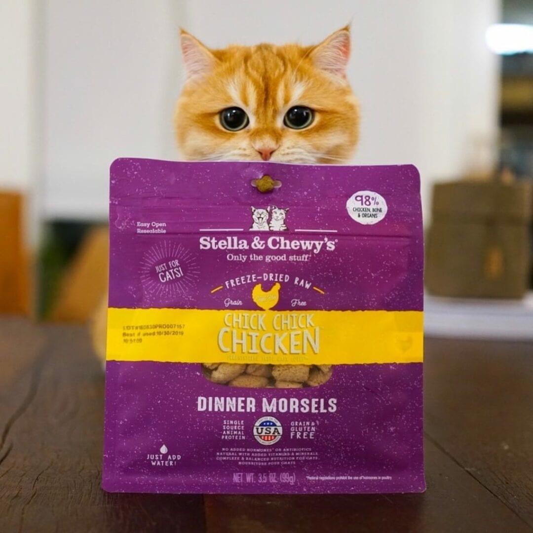 Stella & Chewy's Chick Chick Chicken Dinner Freeze-Dried Cat Food - Mutts & Co.