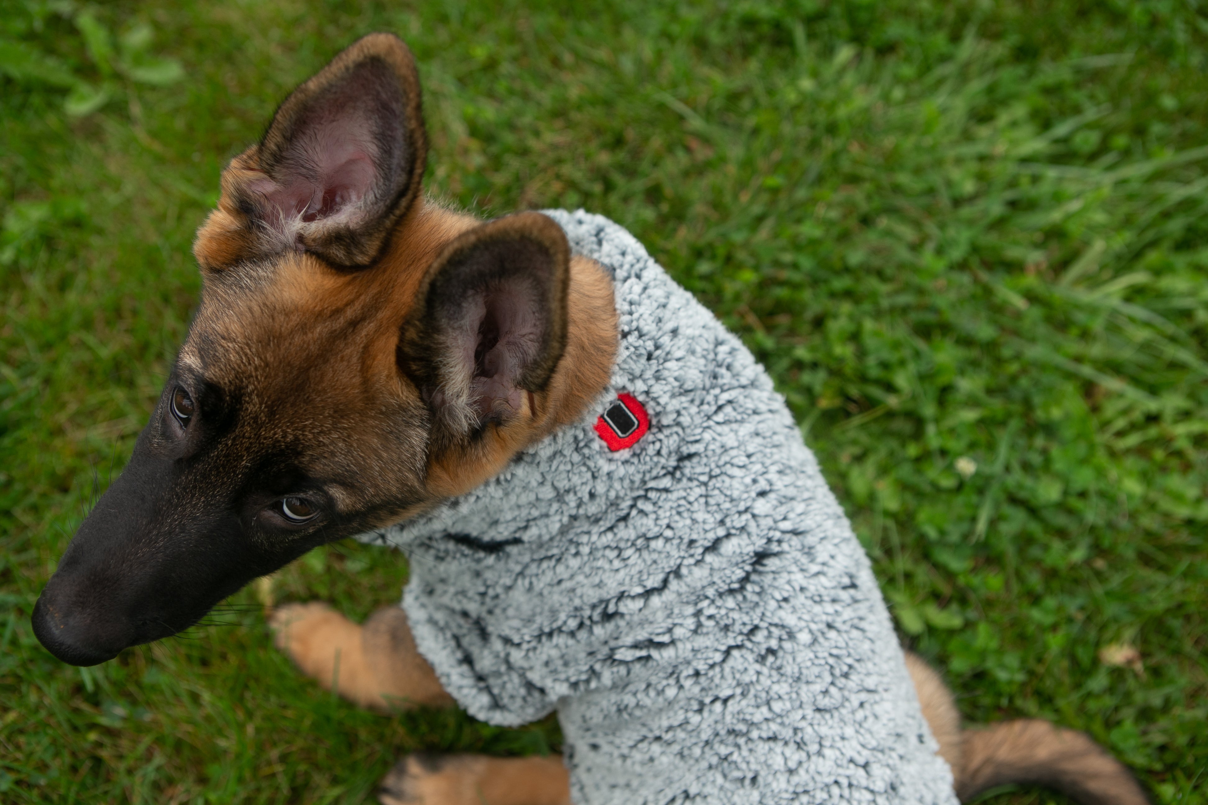 The License House OSU Wubby Fleece Quarter Zip - Mutts & Co.