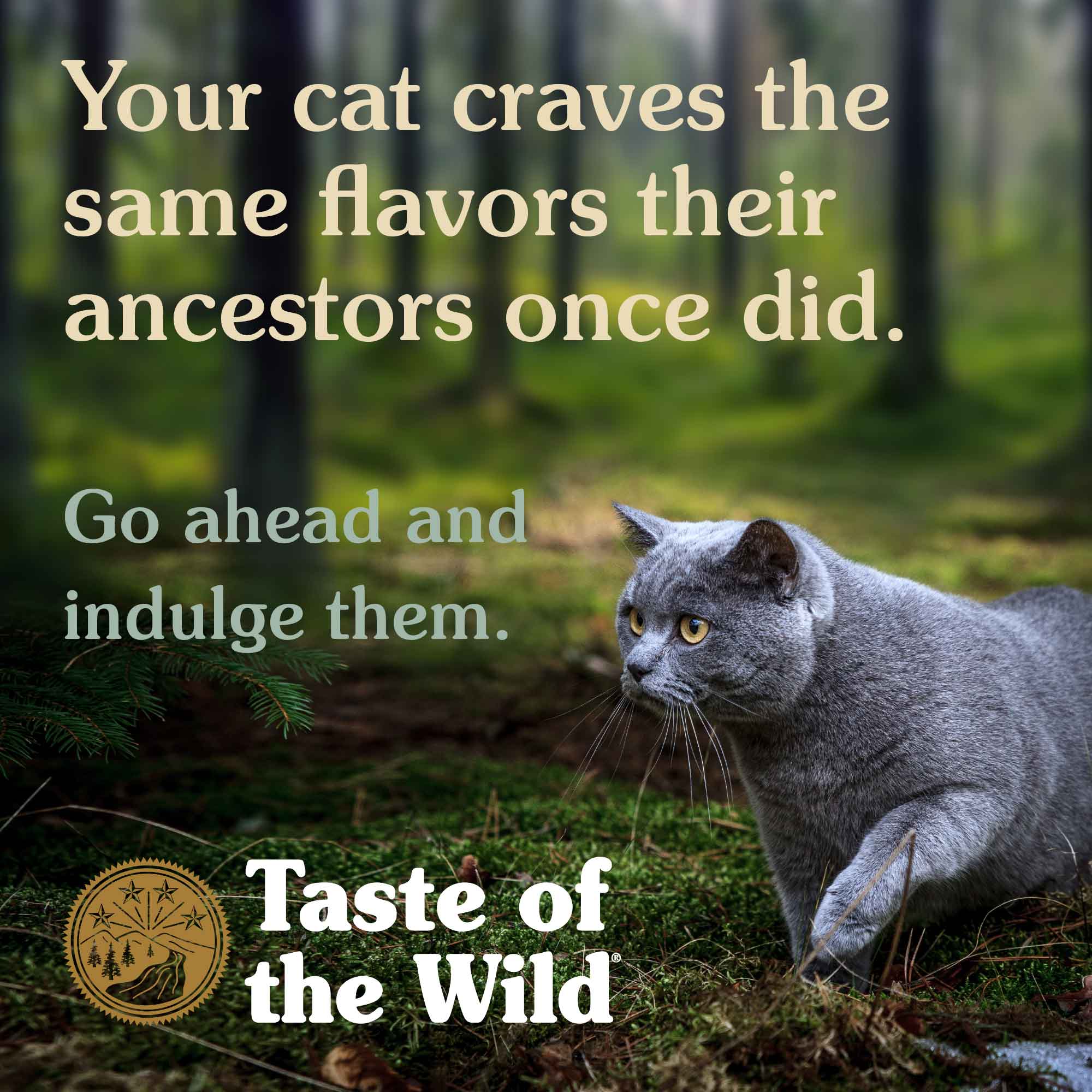 Taste Of The Wild Canyon River Grain-Free Cat Food - Mutts & Co.