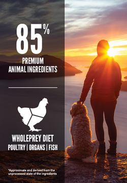 Orijen Senior Grain-Free Dry Dog Food - Mutts & Co.