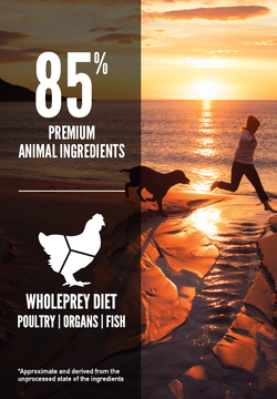 Orijen Fit and Trim Grain-Free Dry Dog Food - Mutts & Co.