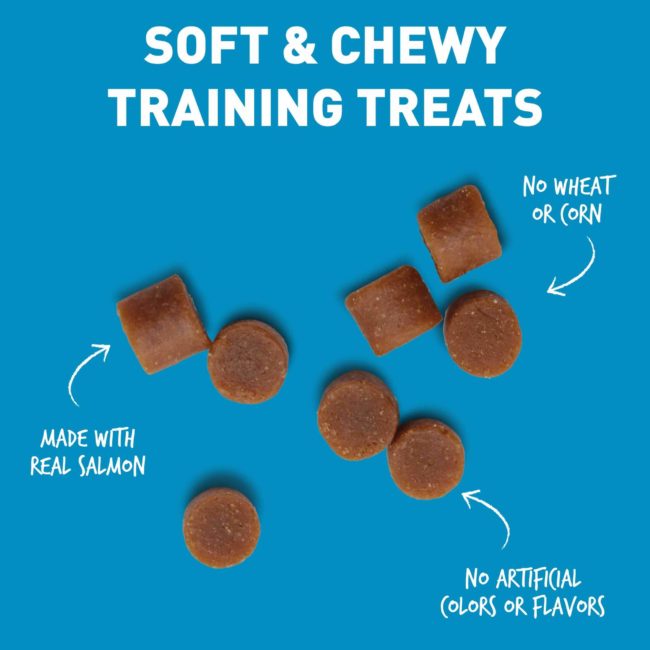 Cloud Star Chewy Tricky Trainers Salmon Flavor Dog Treats - Mutts & Co.