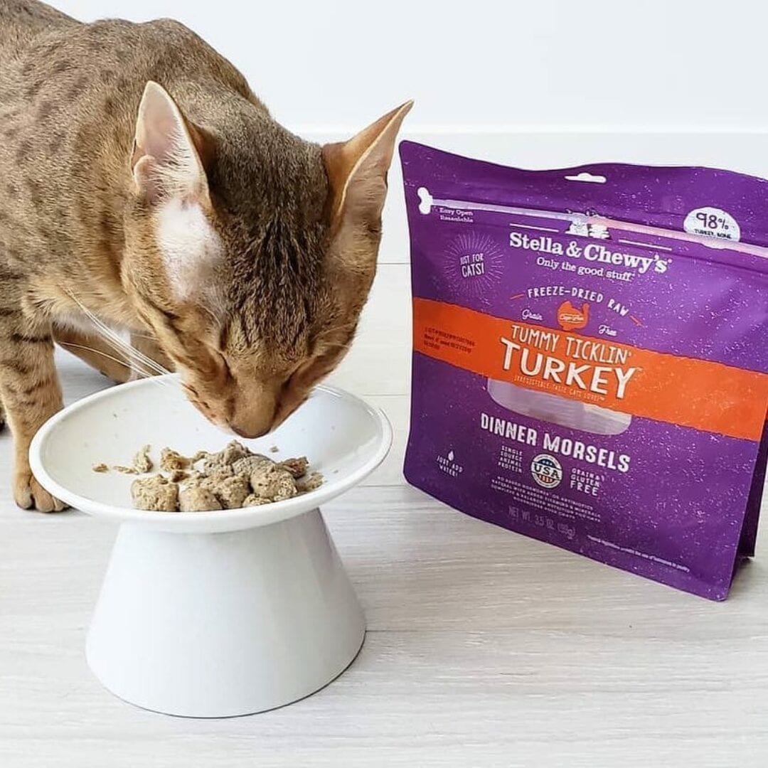 Stella & Chewy's Tummy Ticklin' Turkey Dinner Freeze-Dried Cat Food - Mutts & Co.