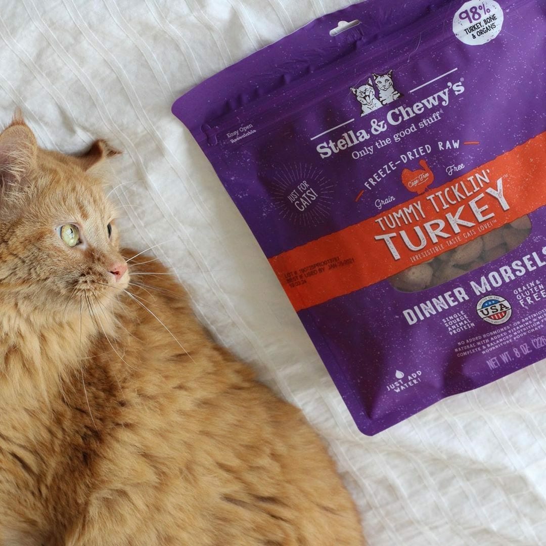 Stella & Chewy's Tummy Ticklin' Turkey Dinner Freeze-Dried Cat Food - Mutts & Co.