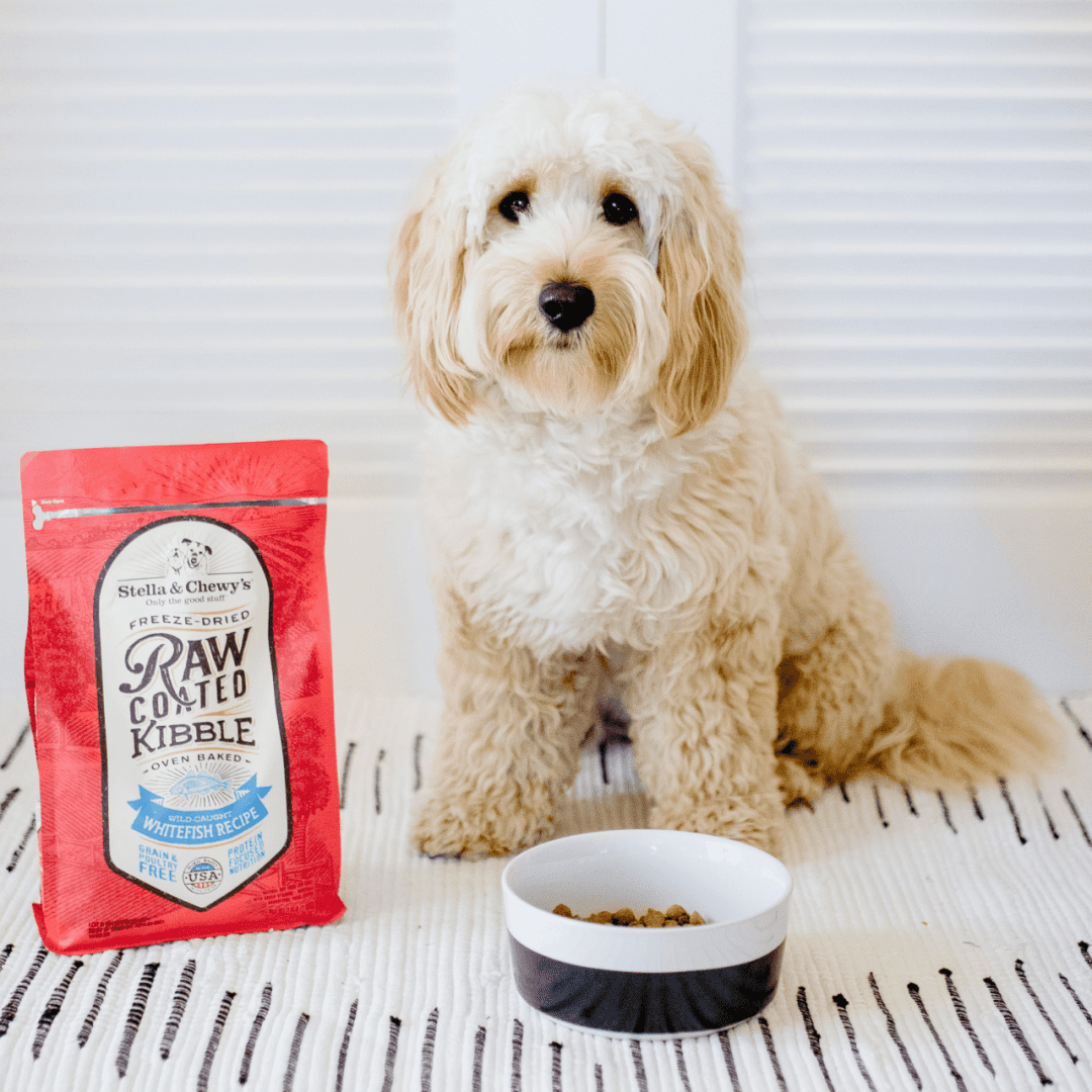 Stella & Chewy's Wild-Caught Whitefish Recipe Raw Coated Baked Kibble Dog Food - Mutts & Co.