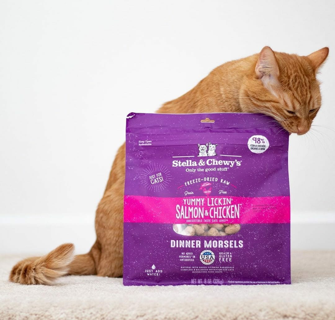 Stella & Chewy's Yummy Lickin' Salmon & Chicken Dinner Freeze-Dried Cat Food - Mutts & Co.